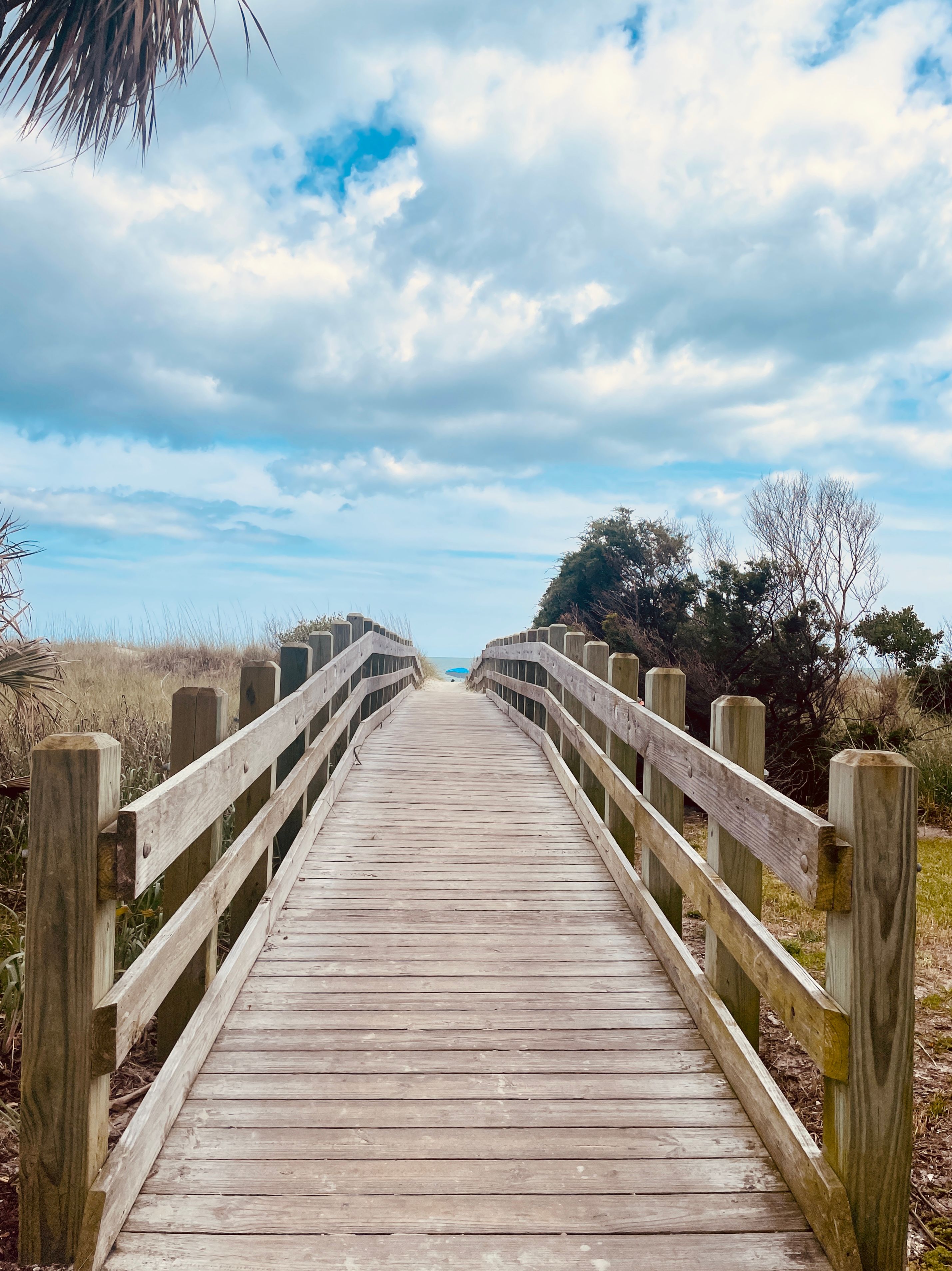 Coastal Highway Scenic View